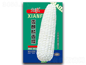 ѩ������Ŵ-Ŵ���׷N��-���L