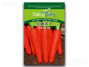 �t������-�}���N��-���L(f��ng)