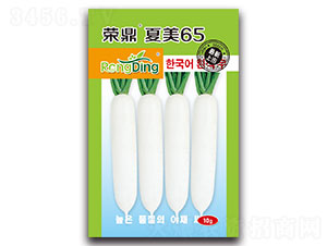 �s������65-�}���N��-���L(f��ng)