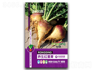 �B(y��ng)���t��ݼ-�}���N��-���L(f��ng)