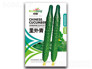 ������-�S�ϷN��-���L