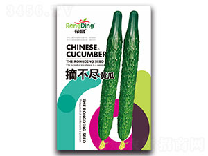 ժ���M�S��-�S�ϷN��-���L