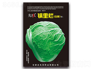 �����ײˣ�F1-�ײ˷N��-���L(f��ng)