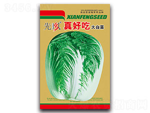 ��óԴ�ײ�-�ײ˷N��-���L(f��ng)