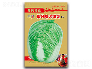 ��óԻ�偲�F1-�ײ˷N��-���L(f��ng)