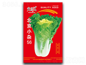 ����С�s56-�ײ˷N��-���L(f��ng)