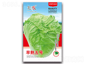 ����5̖-�ײ˷N��-���L(f��ng)