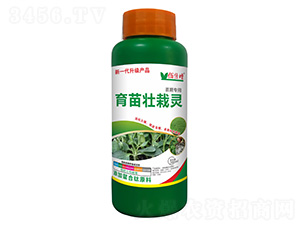 ��������`-�۱���