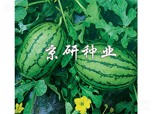 ����-���ϷN��-����