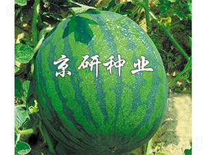 ��(gu��)��2̖(h��o)-���ϷN��-����