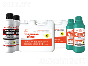 �ؾG�ѣ��M�ϣ�-(li��n)��μ�