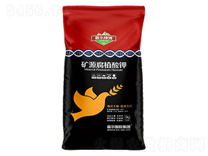 �VԴ��ֲ���-�Ԡ��G��