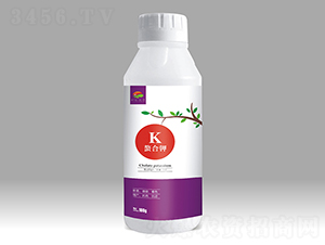 �����-��������