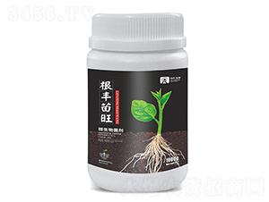 ΢�������-���S����-��������