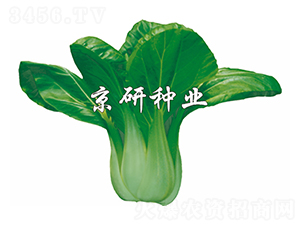 ���G7̖(h��o)-С�ײ˷N��-����