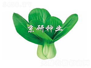 ����1̖(h��o)-С�ײ˷N��-����