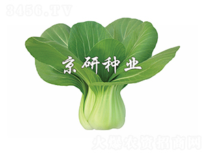 ����2̖(h��o)-С�ײ˷N��-����