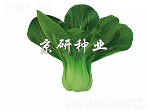 ���G1̖(h��o)-С�ײ˷N��-����