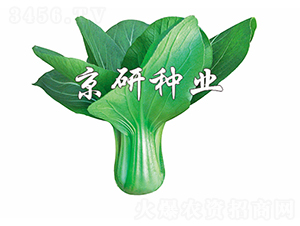 ���G4̖(h��o)-С�ײ˷N��-����