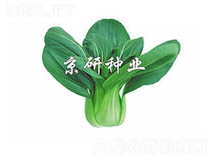 ���G5̖(h��o)-С�ײ˷N��-����