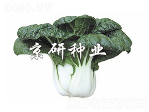 �̰�5̖(h��o)-С�ײ˷N��-����