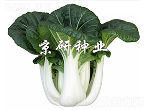 ���̰�3̖(h��o)-С�ײ˷N��-����