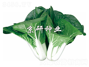 ���к��~-С�ײ˷N��-����