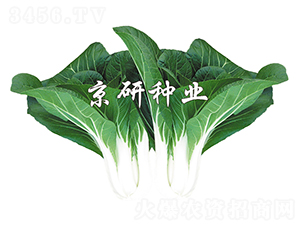 ���к��~5̖(h��o)-С�ײ˷N��-����