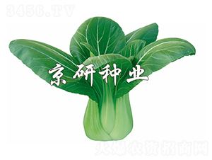 ����2̖(h��o)-С�ײ˷N��-����