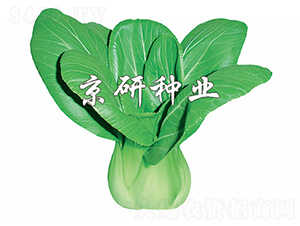 ����4̖(h��o)-С�ײ˷N��-����