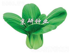 ����3̖(h��o)-С�ײ˷N��-����