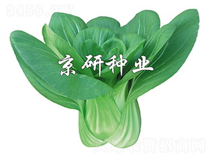 ����3̖(h��o)-С�ײ˷N��-����