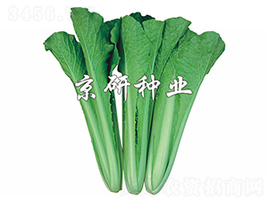 �ļ����1̖-��˷N��-����