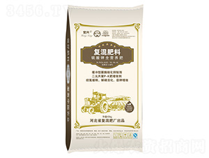 ��(f��)�����16-16-16-���d