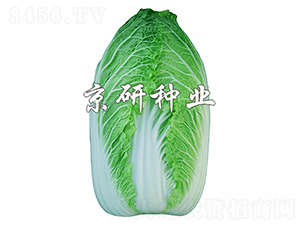 ����CR1-�ײ˷N��-����