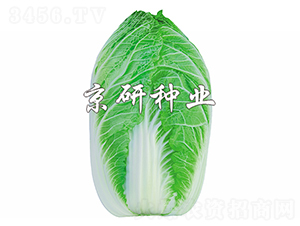 ����CR2-�ײ˷N��-����