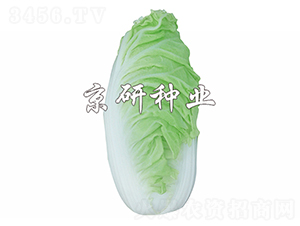 ����6̖-�ײ˷N��-����