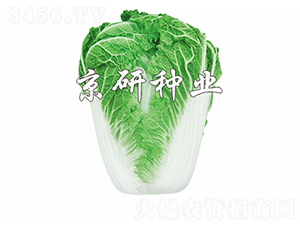 ����14-19-�ײ˷N��-����