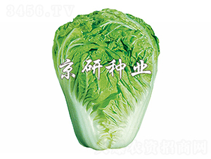 С�s60̖-�ײ˷N��-����