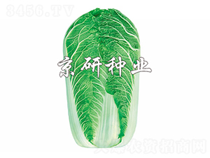 ����5̖-�ײ˷N��-����