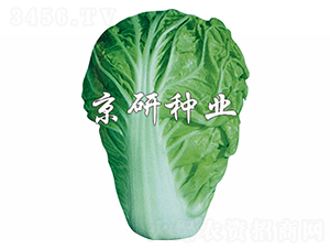 ����1̖-�ײ˷N��-����