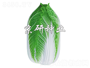 �����S3̖-�ײ˷N��-����