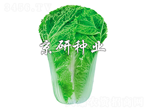 ����15-11-�ײ˷N��-����