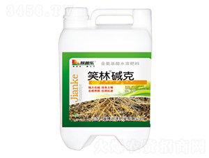 Ц�։A��-���՘�-���ɷʘI(y��)