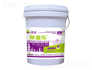 ������΢�����(f��)��������-���՘�-���ɷʘI(y��)