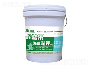 ���徫�1̖-���՘�-���ɷʘI(y��)