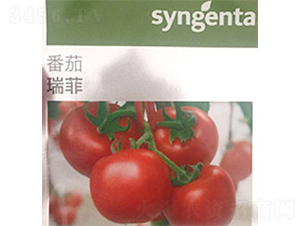 ���-���ѷN��-���A�N�I(y��)