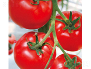 ���o(j��)�tF1-���ѷN��-���A�N�I(y��)