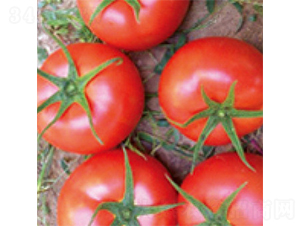 ˼����1018F1-���ѷN��-���A�N�I(y��)