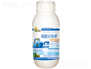 ƿ�b��(x��)��������-���՘�-���ɷʘI(y��) 